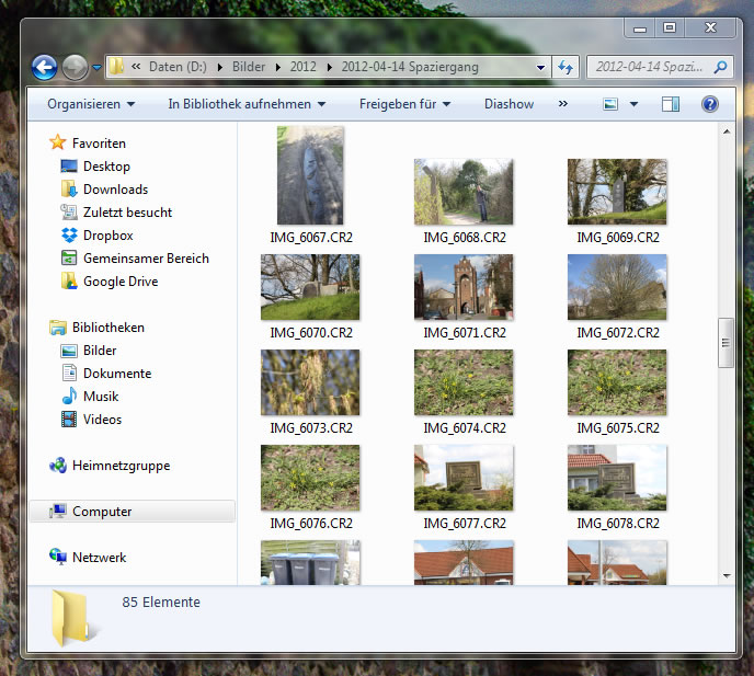 Vorschau-Bilder für RAW-Dateien unter Windows