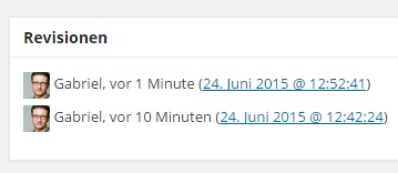 WordPress Revisionen in einer Box